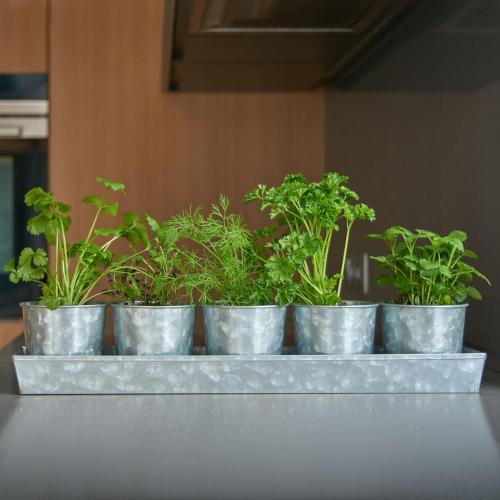 Galvanized Metal Herb Planter, 5 Pots with Drainage Holes, Indoor Outdoor Use, Farmhouse Decor, 19.5x3.9x3.5 inches