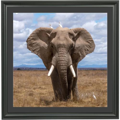 LTYHHK 22x22 Picture Frame Solid Wood with Black Mat, Displays Picture 20x20 with Mat or 22x22 Inch without Mat, Poster Frame 22x22 Photo Frames 20x20 Diamond Painting Frame Black (L23B2222B2020)