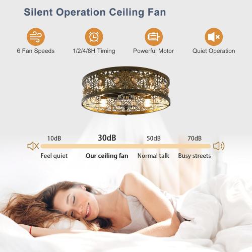 Garwarm 20 Caged Ceiling Fans with Lights, Low Profile Crystal Fandelier