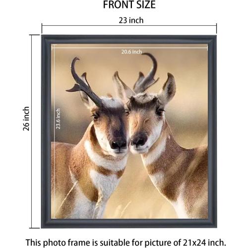 21x24 inch Poster Frame Solid Wood Black, Wall Hanging Picture Frame 21x24 Photo Frame (F23B2124)