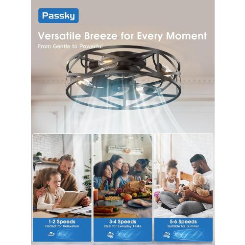 Black 20 Fandelier Ceiling Fan with Light, Caged Bladeless Ceiling Fans with Remote, Farmhouse Flush Mount Fan for Bedroom, Kitchen, Living Room, Black