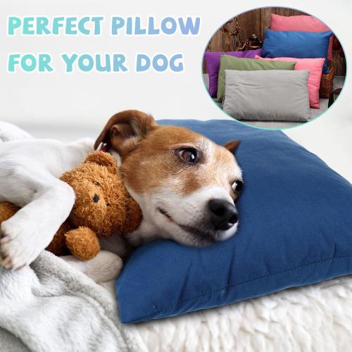 Kigley 12 Pack Mini Pillows for Daycare 9.1 x 13.8'' Small Travel Pillow Bulk Soft Breathable Cotton Pillow for Nap Travel Pet Neck Lumbar Purse Insert (Dark Color)