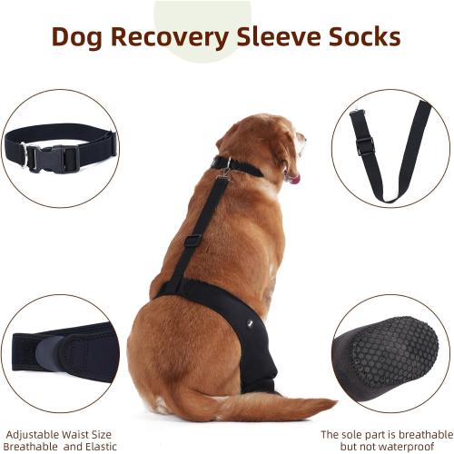 Dog Socks to Prevent Licking Paws ，Breathable Leg Sleeve to Stop Licking and Biting， Firm and Secure Adjustable Size Dog Recovery Sleeve Socks (3XL-Left)
