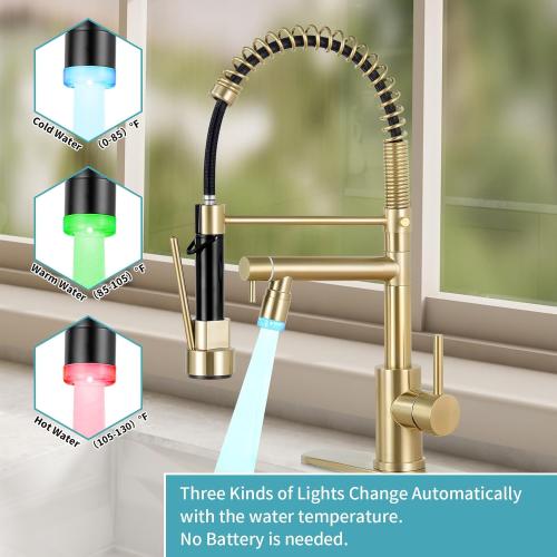 KZH Kitchen Faucet with Pull Down Sprayer Commercial Single Handle Stainless Steel Two Spout Kitchen Sink Faucet with LED Light, Deck Plate, Brushed Gold