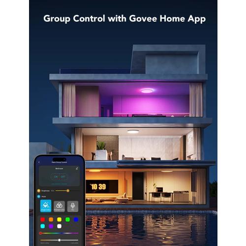 Govee Smart Ceiling Light, RGBIC LED Ceiling Light Fixture, 2400LM Flush Mount Light Fixture, DIY Colors, Works with Matter Alexa, 2700K-6500K Lights for Bedroom, Living Room,12 Inch, 1 Pack (White)