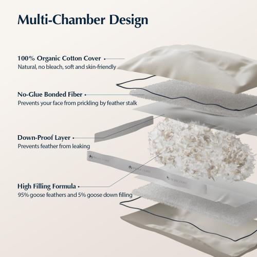 Pacific Coast Goose Feather and Down Pillows, Queen Size Set of 2, Gusseted Pillows, Bed Pillows for Sleeping, Good for Side and Back Sleepers, 100% Organic Cotton Cover