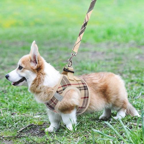 KOOLTAIL Dog Harness for Small Medium Dogs,Dog Harness and Leash Set, Step in No Pull Soft Mesh Padded Adjustable and Reflective Pet Vest Harness Puppy, Plaid Extra Harness for XS S Dogs, Beige S