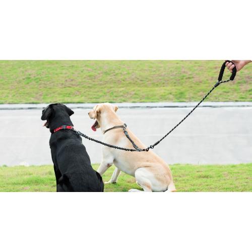 iYoShop Dual Dog Leash - 360° Swivel, No Tangle Walking Leash with Shock Absorbing Bungee for Two Dogs (Large, 25-150 lbs, Black)