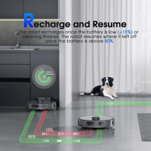Robot Vacuum and Mop Combo, Robotic Vacuums Cleaner with LiDAR Navigation, Smart Mapping, Strong Suction, with WiFi/App/Alexa/Voice Control, Obstacle Avoidance, for Home, Wood/Hard Floors, Pet Hair