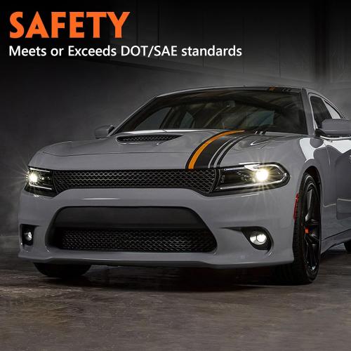 FIONE Halogen Headlights Assembly Compatible with Dodge Charger 2022 2023 Headlamp with LED DRL & Turn Signal Lights Driver Left Side LH
