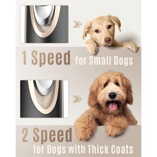 oneisall Dog Clippers Low Noise, 2-Speed Quiet Dog Grooming Kit Rechargeable Cordless Pet Hair Clipper Trimmer Shaver for Small and Large Dogs Cats Animals (Gold)