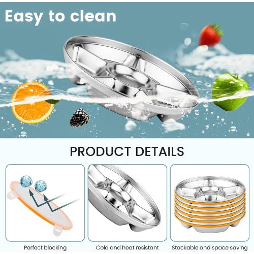 Divided Serving Tray with Lid, Stainless Steel Veggie Tray with Plastic Lid, Reusable Vegetable Platter, Snack Tray, Snackle Box for Party, Easy to Clean (6 Compartments, 60oz)