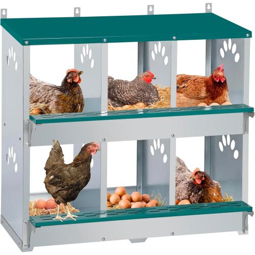 Chicken Nesting Box, 6 Compartment Metal Nesting Box, 6 Room Wall Mountable Nesting Boxes for Chicken, Green