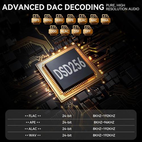 RUIZU 64GB HiFi Lossless MP3 Player, DAC DSD High Resolution Digital Audio Player, Portable Hi-Res Music Player with 2 Touchscreen, Resume Playback, CNC Aluminum Alloy Body, Up to 128GB microSD Card