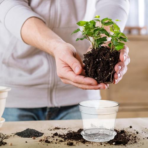 WSMKSZ 4 Inch Clear Nursery Pots, 8 Pack Highly Transparent Plant Pots for Small Indoor Plants with Drainage Holes and Trays, Plastic Seedling Starter Planters for Flowers