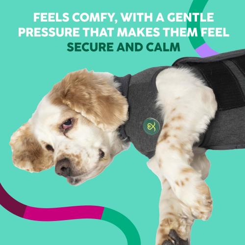 Calming Vest: Anxiety and Stress Relief for Dogs - Dog Anxiety Relief Calming Vest (Medium), Gray