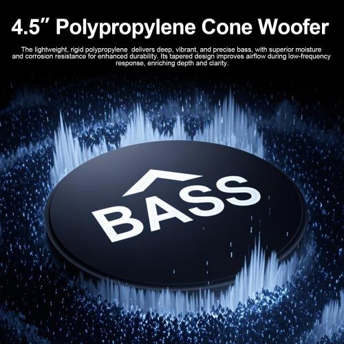 Hiwill Outdoor Speaker Waterproof – 4.5 Woofer with Dual Passive Radiators, Aluminum Dome Tweeter, All-Weather Durable Mountable Speakers for Patio, Poolside, Indoor-Outdoor Flexibility(Pair, Black)