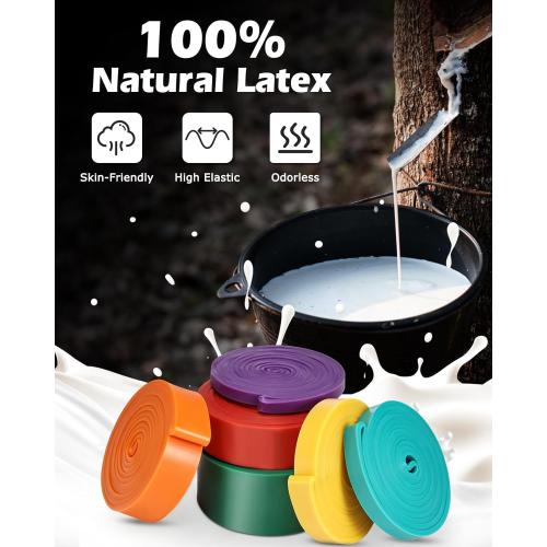 Zacro Resistance Bands, 6 Resistance Levels Pull Up Assistance Bands, Exercise Bands for Men&Women, Heavy Duty Resistance Band Set with Door Anchor, for Working Out, Muscle Training, Physical Therapy