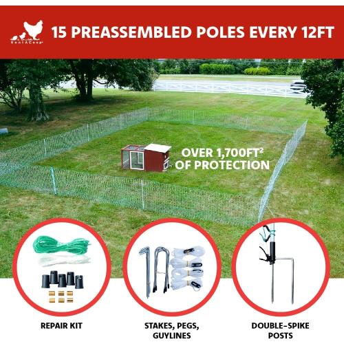 RentACoop Poultry Netting Electric Fence - Electric Poultry Enclosure for Chickens, Ducks, Turkeys - Suitable for 4 Week Old Chickens/Older and Adult Poultry - Energizer Not Included - 168' L x 48 H