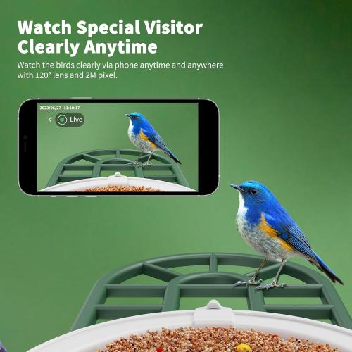 Bird Feeder with Camera with AI Identify Birds Species Solar Powered, Smart Bird House with Cam, 2K HD Video Live Stream, Instant Arrival Alerts - Green