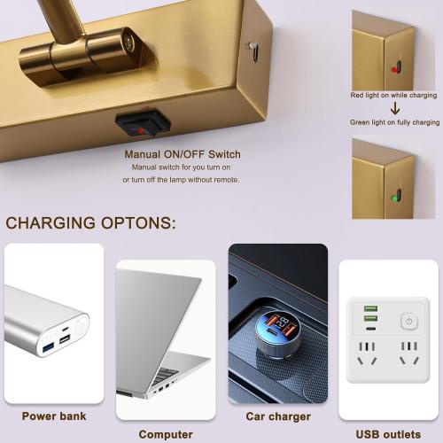 Wireless Picture Lights for Wall Battery Operated, Brass Art Lighting for Paintings Rechargeable Gallery lights with Remote and Timer 3CCT Dimmable Painting Lights for Artwork Portrait 23.6 inch