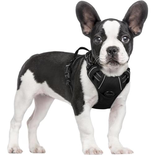 rabbitgoo Dog Harness No Pull with 2 Leash Clips, Adjustable Soft Padded, Reflective Oxford No Choke Pet Vest with Easy Control Handle for Small Dogs, Black, S