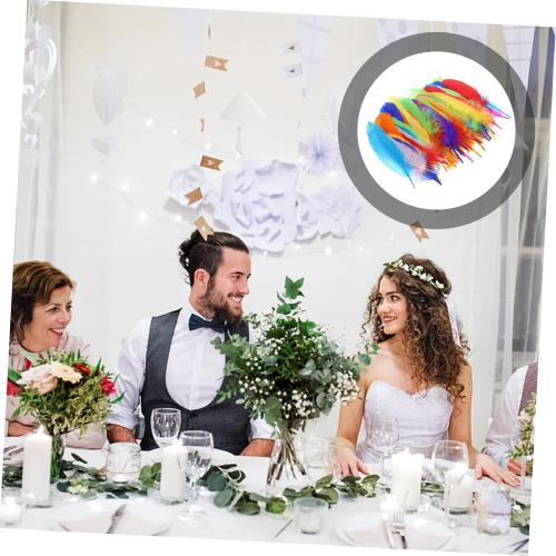 IWOWHERO 120pcs Decorative Goose Plume for Crafts Wedding Decorations and Soft Natural Elegant Colors for Floral Arrangements and Accessories