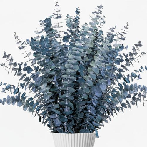 26Pcs Real Dried Eucalyptus Stems, 17 Blue-Green Dry Flowers