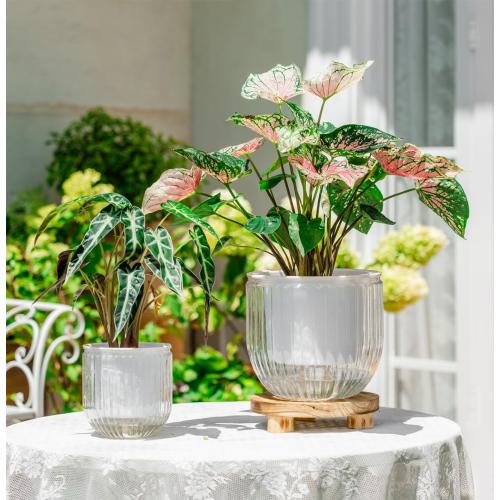 Melphoe Self Watering Pots for Indoor Plants Planter, 8.3/5.3 Inch 2 Pack Planters Self Watering Plant Pots for Flower, Houseplants, Succulent, African Violets and Cactus with Drainage