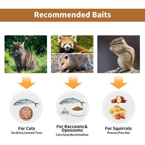 40” 2 Door Live Animal Trap, Easy Set and Release Animal Trap, Live Animal Trap Cage for catching Stray Cats, Raccoons, Squirrels, Rabbits, Moles, Groundhogs, Armadillos up to 17.6 lbs