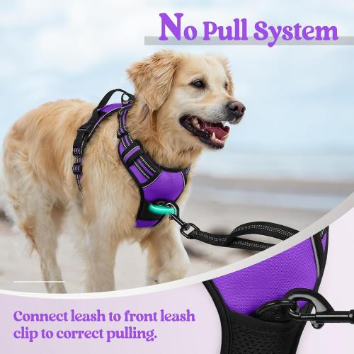 Medium rabbitgoo Dog Harness No Pull with 2 Leash Clips, Adjustable Soft Padded, Reflective Oxford No Choke Pet Vest with Easy Control Handle for Medium Sized Dogs, Purple, M