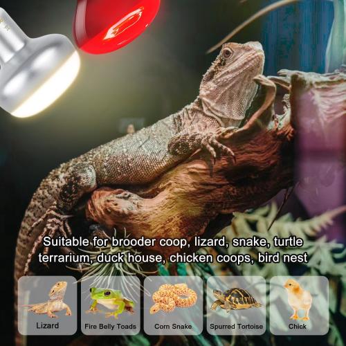 Reptile Infrared Heat Lamp Bulb 75W, 2-in-1 Day & Night Combo, Infrared Heat Lamp & UVA Sunlight Heating Lamp for Reptile Terrariums