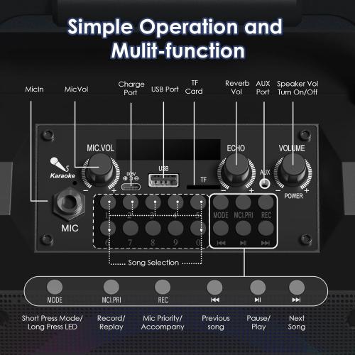 Karaoke Machine for Adults - Portable Bluetooth Karaoke Speaker with Two Wireless Microphones, PA System Speaker Supports TF Card/USB, AUX in, REC, Bass & Treble for Party/Meeting