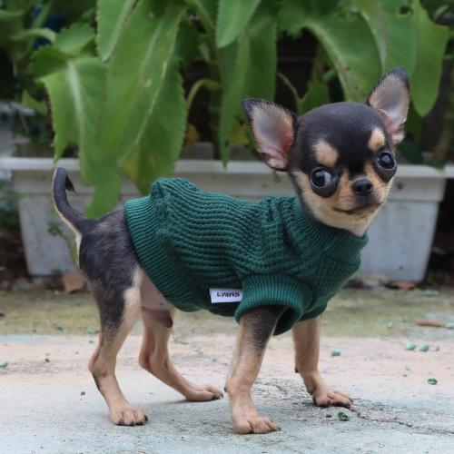 LOPHIPETS Lightweight Dog Sweaters for Puppy Small Dogs Puppy Chihuahua Yorkie Clothes-Atrovirens/XS