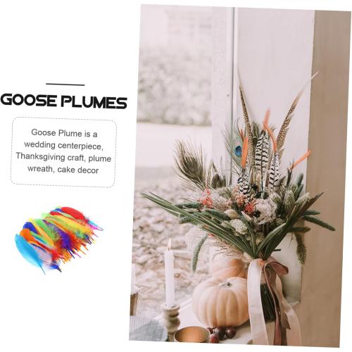 IWOWHERO 120pcs Decorative Goose Plume for Crafts Wedding Decorations and Soft Natural Elegant Colors for Floral Arrangements and Accessories