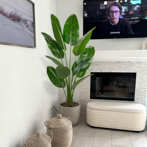 Aveyas 6ft Artificial Bird of Paradise Tree for Home Decor, 6 Feet Faux Floor Plant Fake Silk Banana Leaf Tropical Trees with Pot for Indoor Outdoor House Living Room (6 ft Tall)