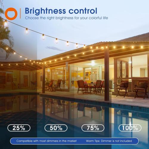 addlon 25FT LED Outdoor String Lights Waterproof Patio Lights with 9 Shatterproof ST38 Replaceable Bulbs(1 Spare), Dimmable Outside Hanging Light Connectable for Porch, Backyard, 2200K Warm Yellow