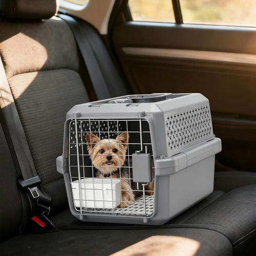 RIZZARI Airline Approved Pet Carrier for Cats & Small Dogs, Travel Crate | Hard-Sided Protection,Secure Locking Door,Excellent Airflow,Comfortable Travel,Lightweight Design