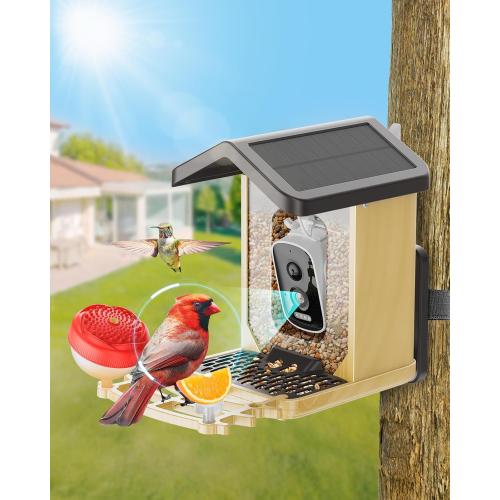 Bird Feeder with Camera Solar Powered, Bird Feeders for Outdoors with DIY Add-ons - Honey Jar & Fruit Fork & Squirrel Proof Net & 32GB SD Card, AI Identify Birds, Ideal Present for Birdlover