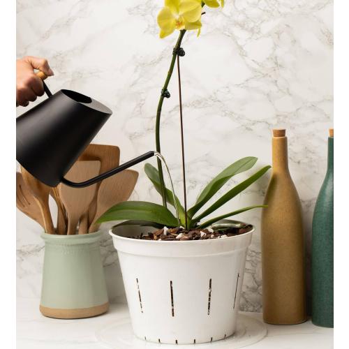 rePotme Orchid Pot -10 inch Slotted Clear Plant Pots - 3 Pack (Crystal Clear)