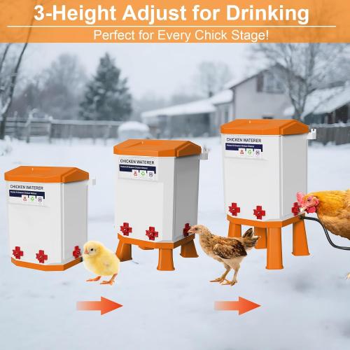 Heated Chicken Waterer 3.2 Gallon, Chicken Water Heater for Winter, Freeze Proof Chicken Waterer, 4 Nipples for Clean Water，Detachable Legs, Adjustable Height for Chickens, Pigeons, Beaked Poultry