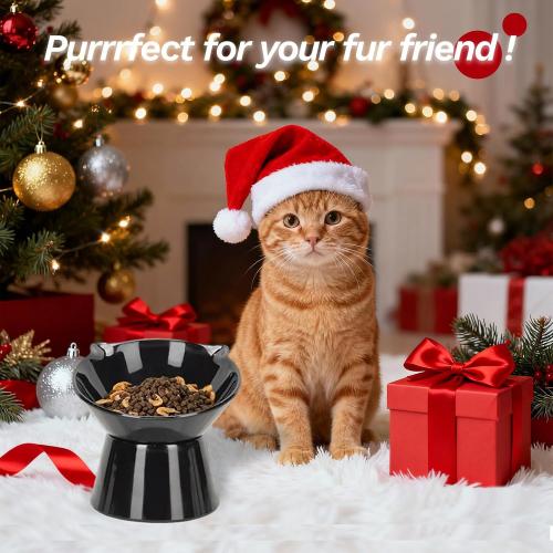 Detachable Elevated Cat Bowls, 15° Tilted Raised Cat Food Bowl Anti-Vomiting,Whisker Friendly, Adjustable Cat Dishes for Protecting Spine,Adult Kitten