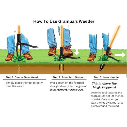Grampa's Weeder - The Original Stand Up Weed Puller Tool with Long Handle - Made with Real Bamboo & 4-Claw Steel Head Design - Easily Remove Weeds Without Bending, Pulling, or Kneeling.