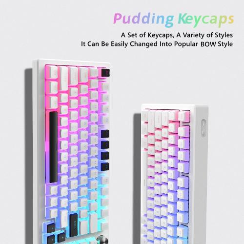 Womier Pudding Keycaps, PBT Shine Through Keycaps 165 Keys Set Custom Key caps Set OEM Profile, Universal Compatiability for 100%, 75%, 65%, 60% Keyboard-White