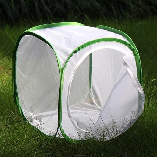 Insect and Butterfly Habitat Cage Terrarium Pop-up 12 X 12 X 12 Inches, Polyester Bottom for Easier Clean