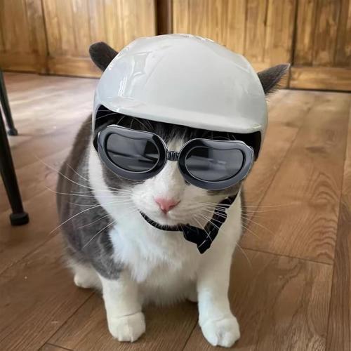 Pet Dog Helmet and Dog Goggles Set Puppy Motorcycle Helmet Sunglasses with Adjustable Belt Cat Hard Hat for Small Pet Riding (S, White)