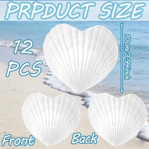 Thyle Natural Scallop Shells for Crafts 4 Inch White Heart Sea Shells for Summer DIY Craft Making Painting Cooking Summer Ocean Themed Party Supplies and Decoration(12 Pcs)