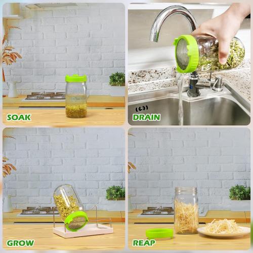 Kitmiido Seed Sprouting Kit, 2 Large Wide Mouth Mason Jars with Sprout Lids, Blackout Sleeves, Drain Tray, Stainless Steel Stand, Sprouts Growing Kit for Bean, Broccoli, Alfalfa (Yellow Green)