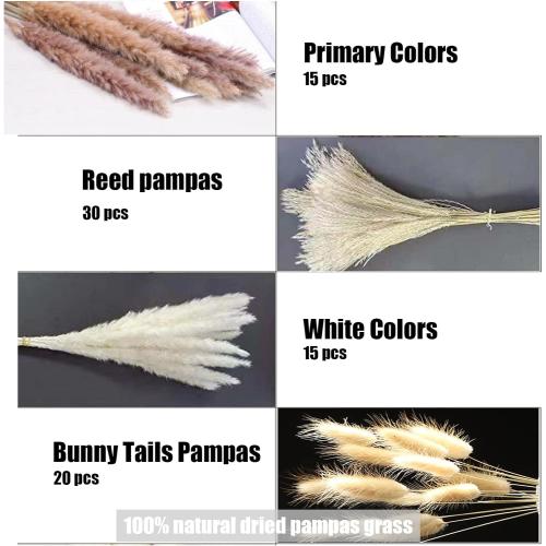 Pampas Grass Decor 110 pcs 17.5inch Natural Dried Pampas Grass-15Pcs White Pampas & 15Pcs Brown Pampas & 50Pcs Reed Grass& 30Pcs Bunny Tail Grass,Fluffy Dried Flowers for Home Decor Wedding Boho Decor