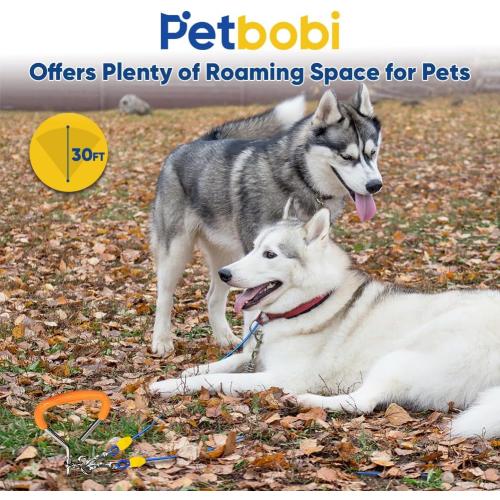 Petbobi Dog Tie-Out Cable and Stake - 30ft Heavy Duty Cable with Spring, No Tangle, 16in Ground Stake, Ideal for Yard, Camping and Beach, Suitable for Small Medium Large Dogs Up to 120 lbs, Blue
